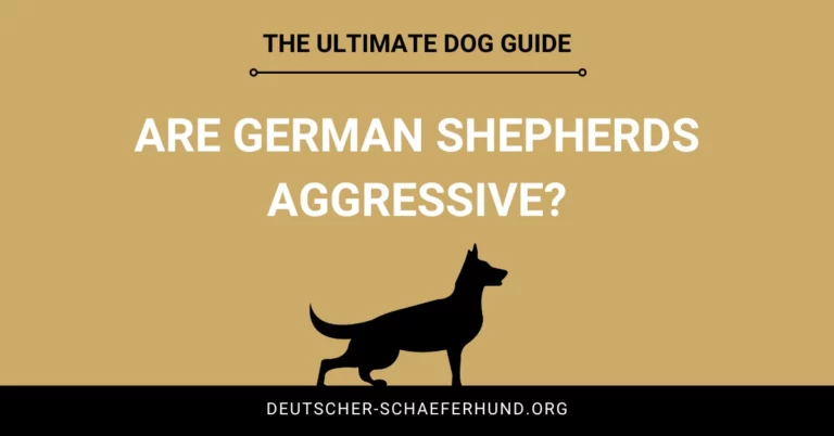 Sind Deutsche Schäferhunde aggressiv?