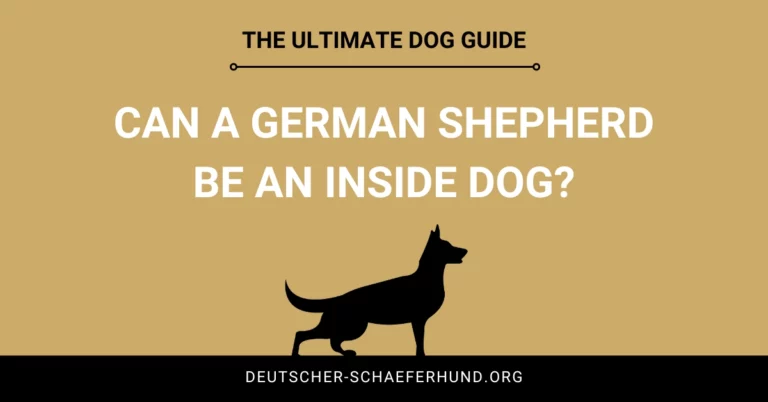 Can A German Shepherd Be an Inside Dog