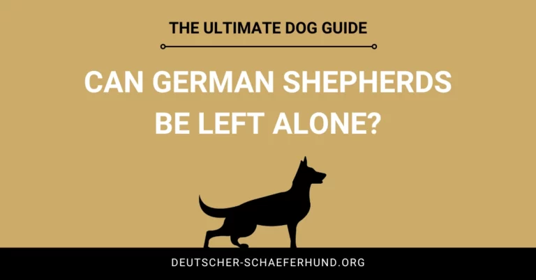 Can German shepherds be left alone
