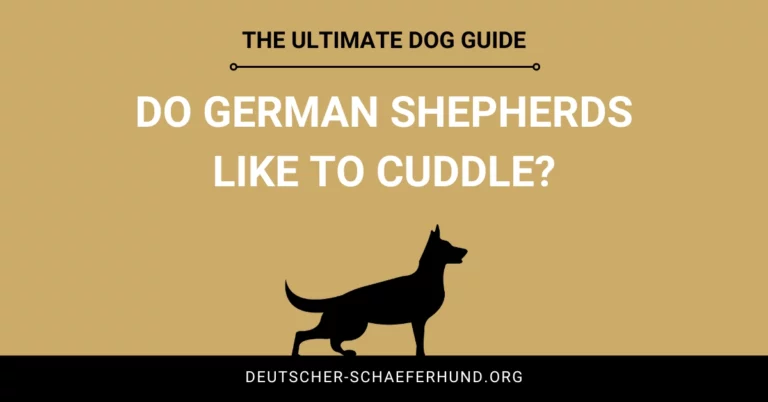Do German Shepherds Like to Cuddle