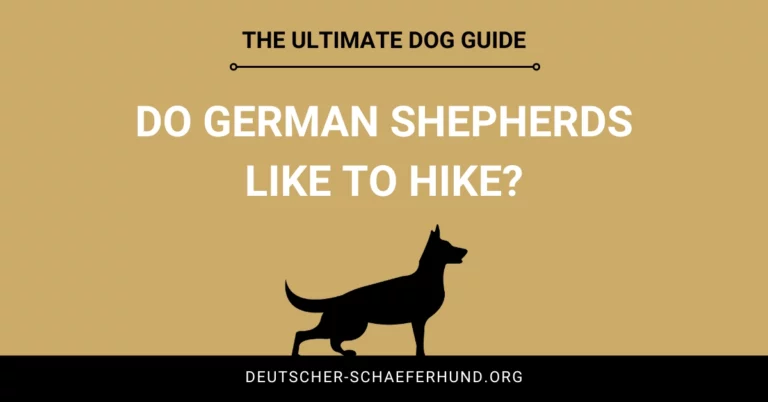 Gehen Deutsche Schäferhunde gerne wandern?