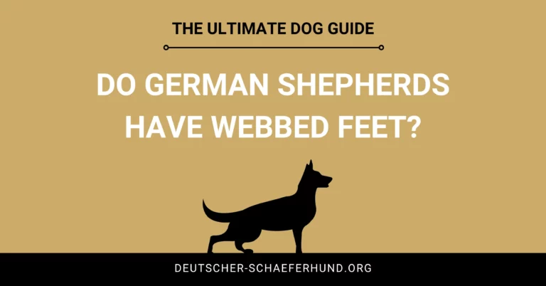 Do German Shepherds have webbed feet