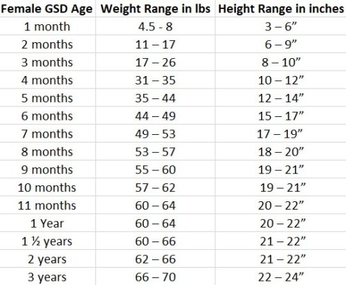 German Shepherd Growth Chart: Everything you need to know » Deutscher ...