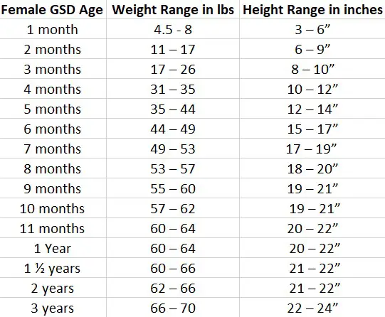 Female German Shepherd Weight and Height Chart