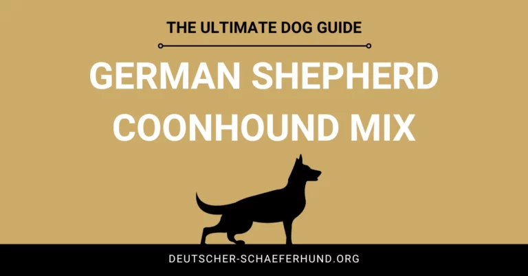 Mezcla de pastor alemán y coonhound