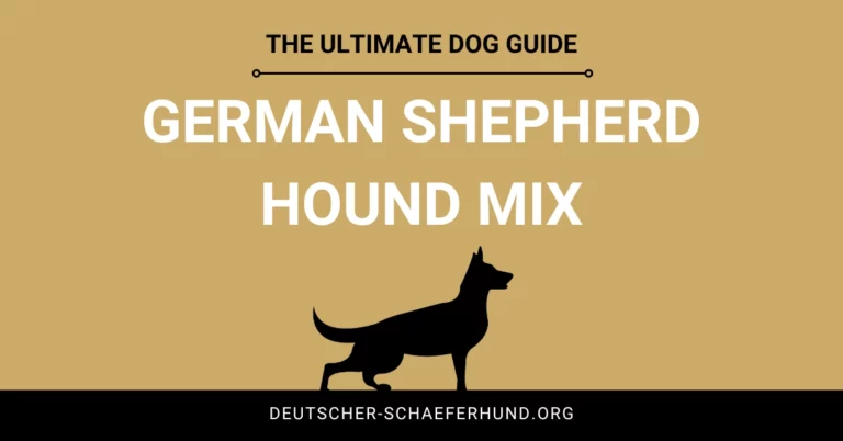 German Shepherd Hound Mix