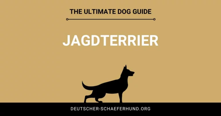 Jagdterrier