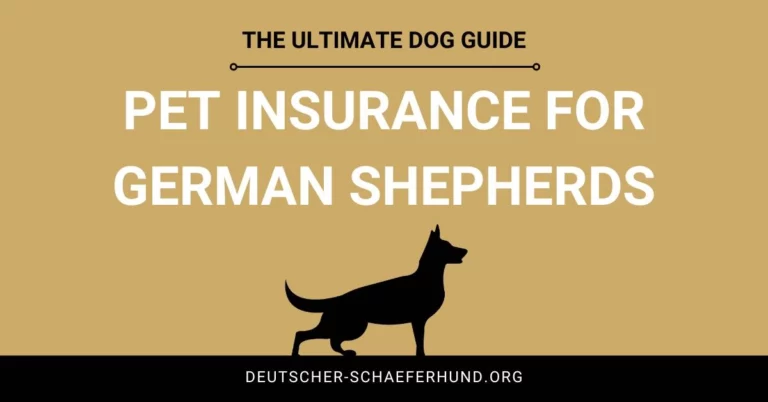 Tierversicherung für Deutsche Schäferhunde