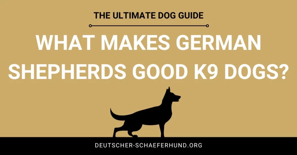 What makes German Shepherds Good K9 Dogs