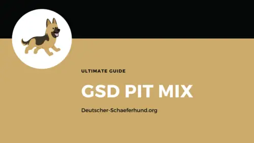 Deutscher Schäferhund Pix Mix