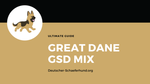 Great Dane German Shepherd